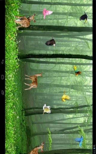 Rain Forest Live Wallpaper截图7