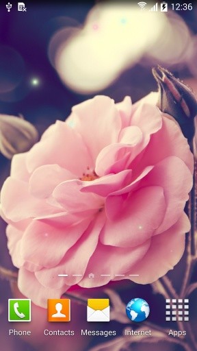 Autumn Flowers Live Wallpaper截图5