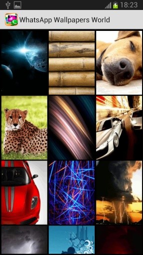 Chat Wallpapers World截图11