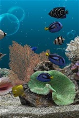 海底世界动态壁纸 Marine Aquarium Lite截图3