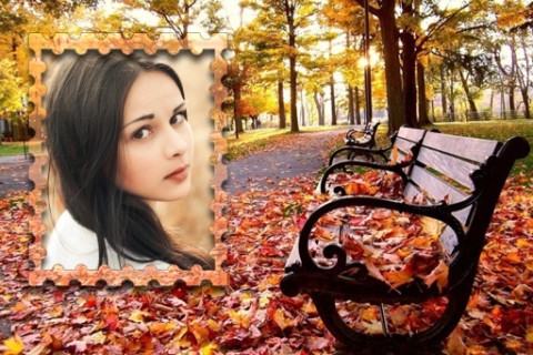 Insta Autumn Photo Frames截图3