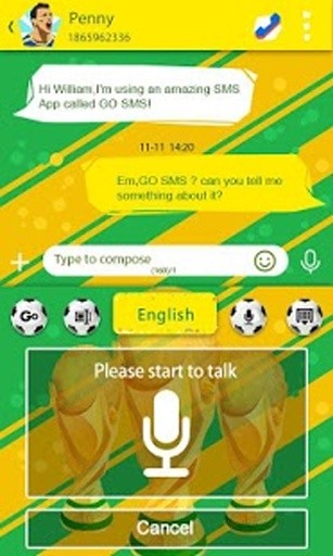 Football World Champion Theme截图2