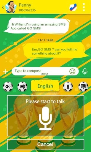 Football World Champion Theme截图8