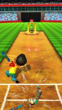 Cricket Game Full Toss截图3