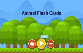 Amal Flas Cards截图5