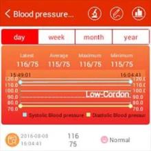 Blood Pressure Diary截图1