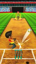 Cricket Game Full Toss截图1