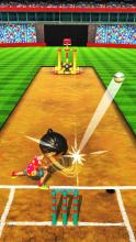 Cricket Game Full Toss截图4