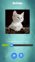 Cut Baby Cats Jgsaw Puzzl Gam截图4