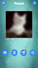 Cut Baby Cats Jgsaw Puzzl Gam截图2