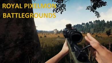 Pixelmon Battlegrounds Maze截图1