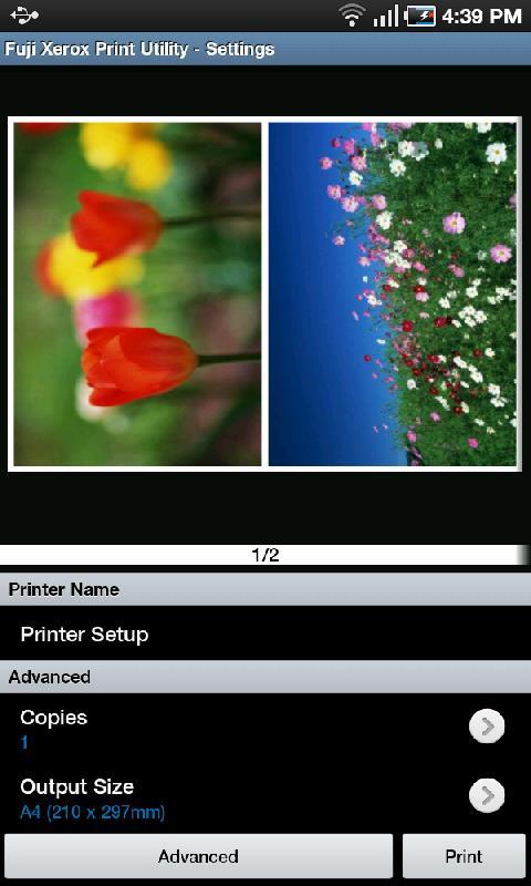 Fuji Xerox Print Utility截图4