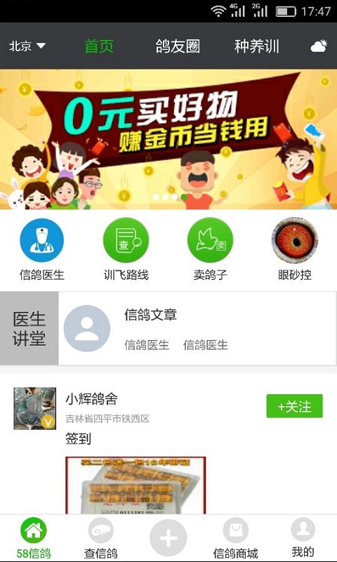 58信鸽截图1