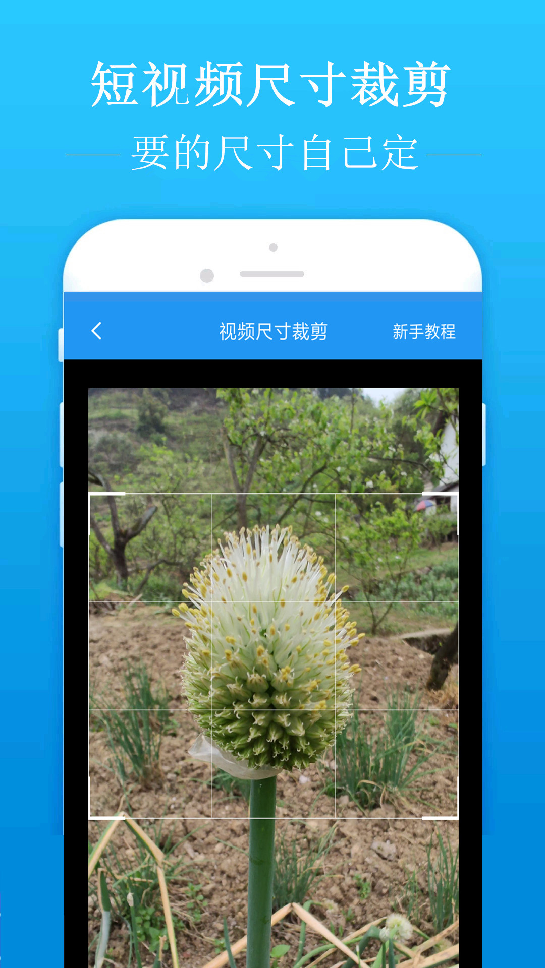 去水印吧v1.4.7截图2