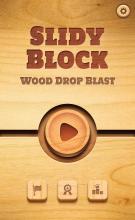 Slide Block  Wood Drop Blast截图1