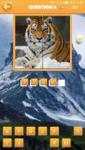 puzzle photo world截图5