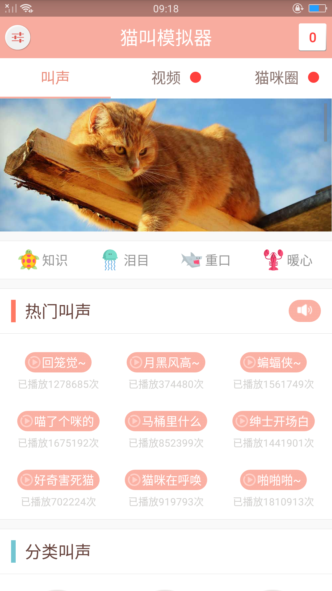 宠物猫交流器截图1