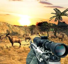 Wild Deer Hunter  deer shooting games截图3