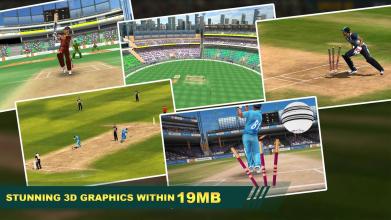 Cricket Lite 3D RealTime Multiplayer截图5