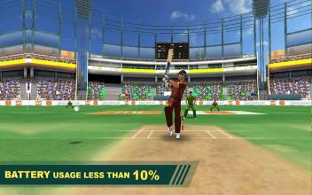 Cricket Lite 3D RealTime Multiplayer截图4