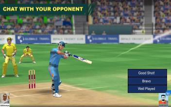 Cricket Lite 3D RealTime Multiplayer截图3