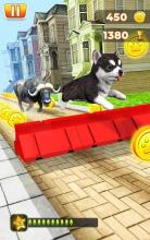 Pet Run Adventure截图4