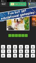 Guess Dogs Breed on photos截图2