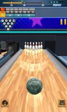 Real Bowling 3D World Champions Game截图2