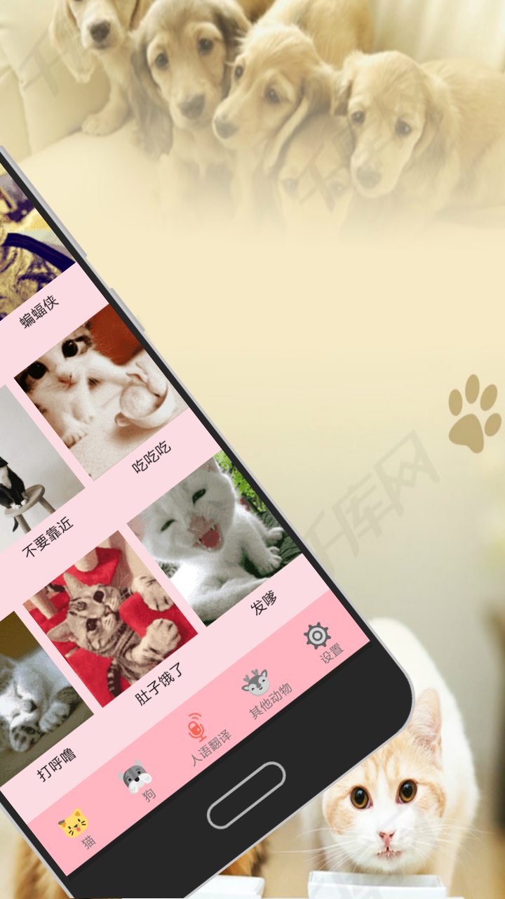 人猫交流器v2.0.2截图2