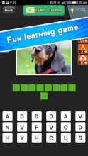 Guess Dogs Breed on photos截图1