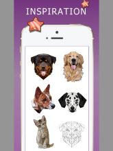 Pet coloring book Animal poly art color截图4