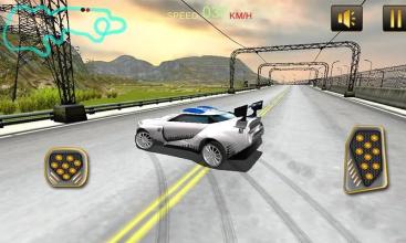 Real Police Car Chase 3D截图2