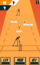 Stickman World Cricket  Games截图4