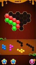 Hexa Puzzle - Block Puzzle Pro截图1