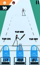 Stickman World Cricket  Games截图5