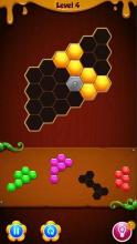 Hexa Puzzle - Block Puzzle Pro截图5