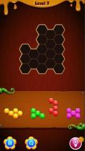 Hexa Puzzle - Block Puzzle Pro截图3