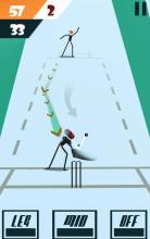 Stickman World Cricket  Games截图2