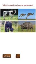 Animal Image Quiz截图1