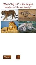 Animal Image Quiz截图5