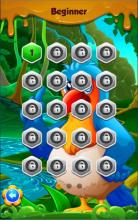 Parrot Hexagon Super Puzzle截图3