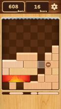 Slide Block Puzzle截图2