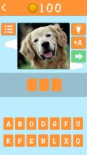 Animal Guessing Puzzle截图1