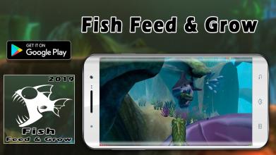 Fish Feed & Grow  Guide 2019截图1