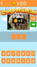 Animal Guessing Puzzle截图3