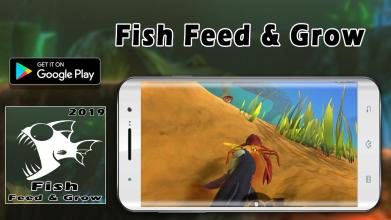 Fish Feed & Grow  Guide 2019截图3