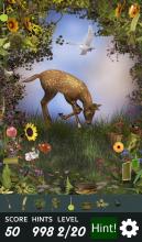 Hidden Object  Mother Nature截图5