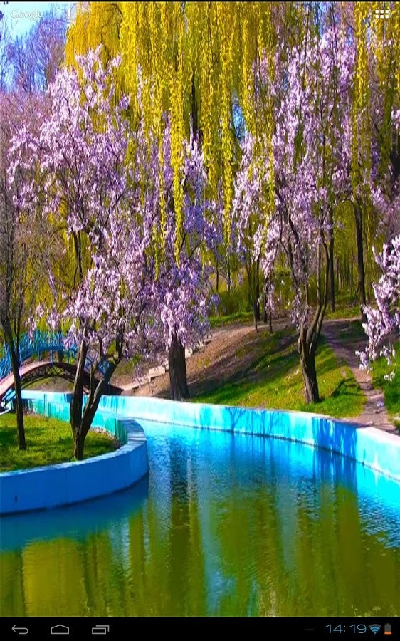 3D Spring Park Sakura Free截图10