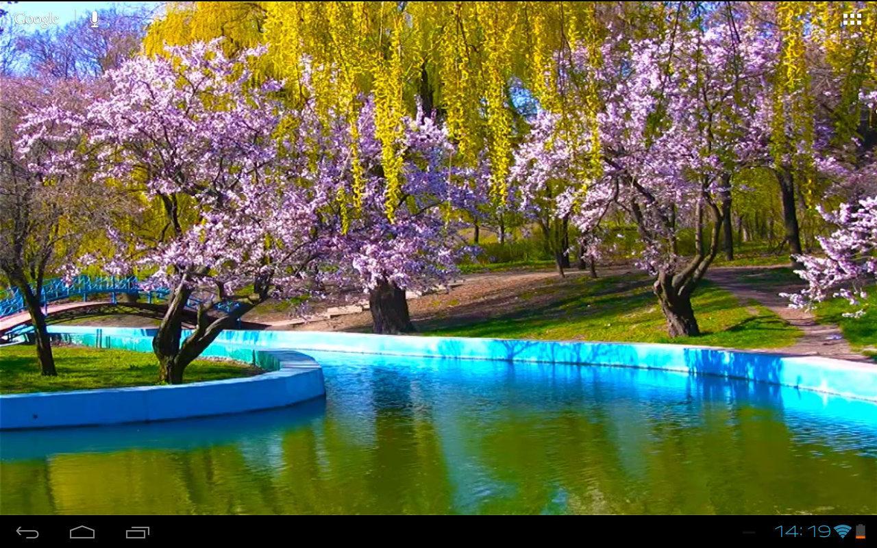 3D Spring Park Sakura Free截图8