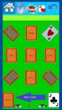 New Solitaire Games截图2